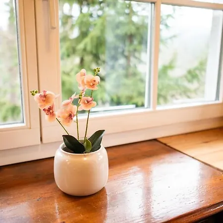 Alice - In Der Naturidylle Tatil Evi Bad Schandau