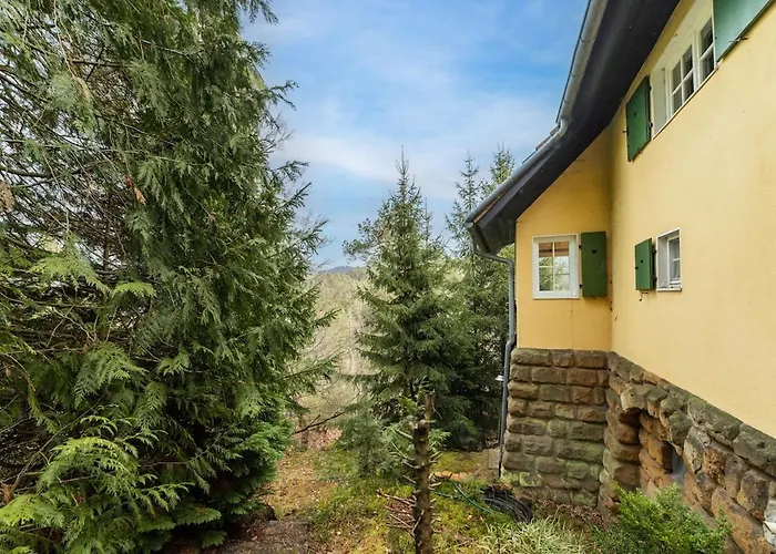 Alice - In Der Naturidylle *